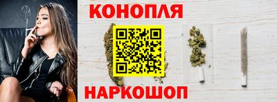 стаф Моздок