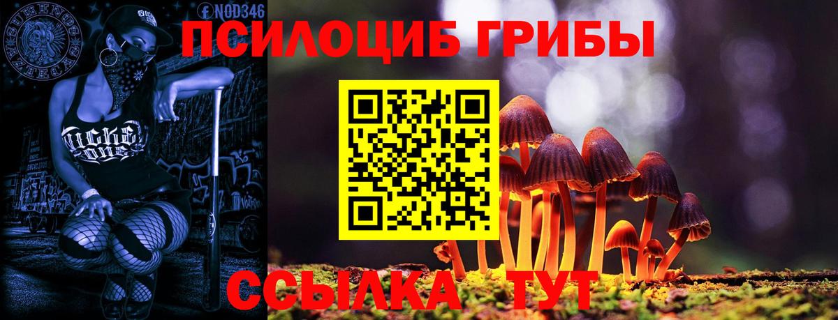 Галлюциногенные грибы Magic Shrooms  Псилоцибиновые грибы GOLDEN TEACHER  Урюпинск  Вход с VPN 