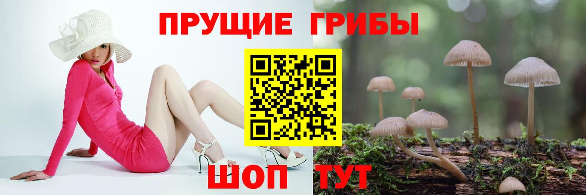 Галлюциногенные грибы Magic Shrooms Урюпинск